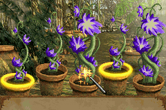 Harry Potter e l'Ordine della Fenice