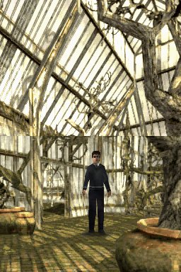 Harry Potter e l'Ordine della Fenice