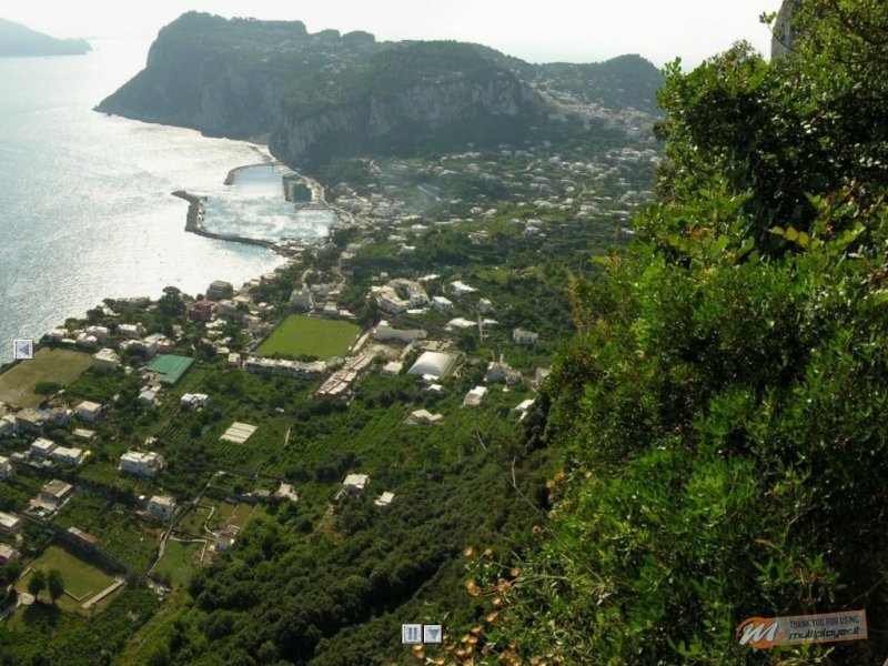 Anacapri: The Dream
