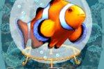 Un acquario sul cell - Notizia