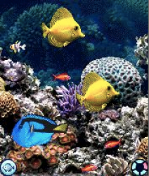 AquaPhone