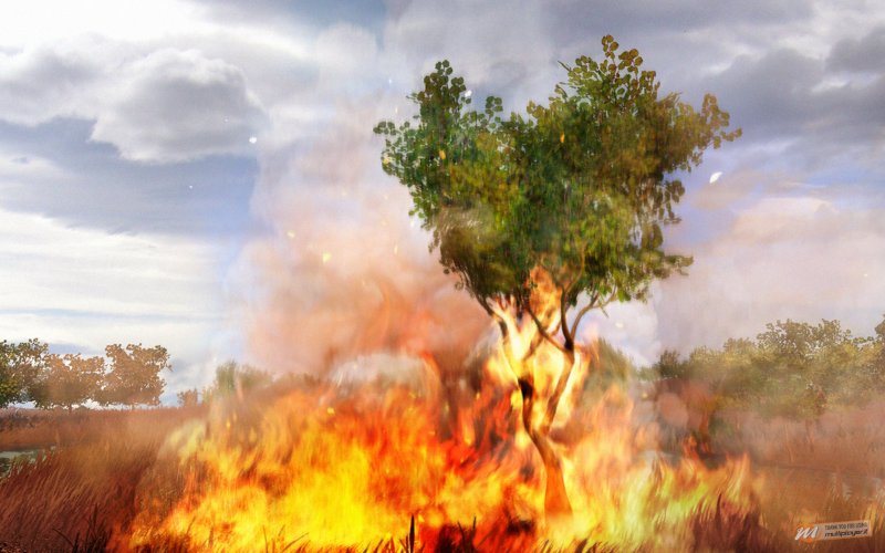 [GC 2008] Far Cry 2 - Provato