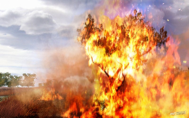 [GC 2008] Far Cry 2 - Provato