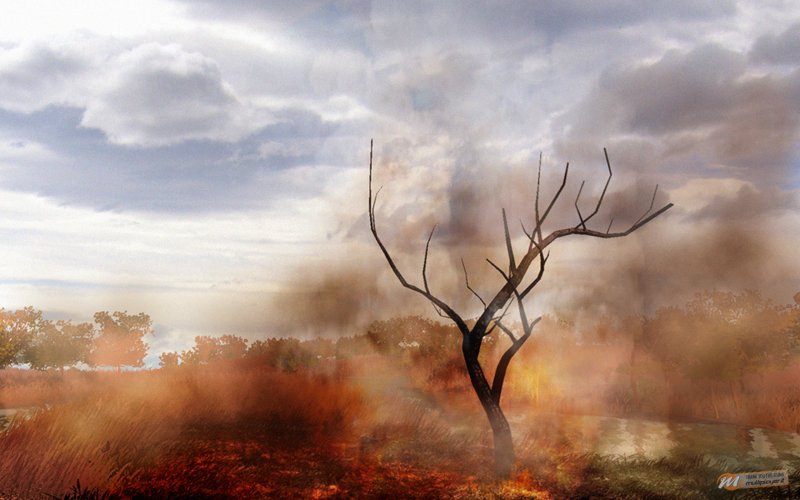 [GC 2008] Far Cry 2 - Provato