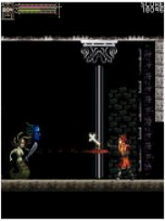 Castlevania: Order of the Shadow