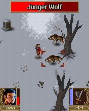 Gothic III (Gothic 3)