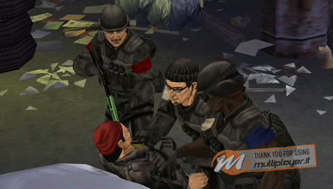 SWAT: Target Liberty