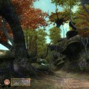 The Elder Scrolls IV: Oblivion - Game of the Year Edition - Trucchi