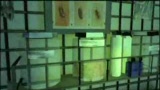 CSI: Crime Scene Investigation: Hard Evidence filmato #4 Making of