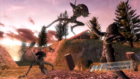 Aliens vs Predator: Requiem