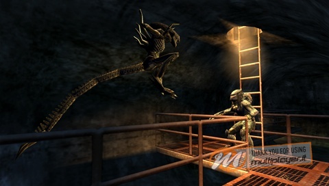 Aliens vs Predator: Requiem