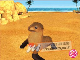 My Animal Centre In Australia