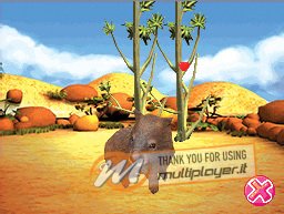 My Animal Centre In Australia