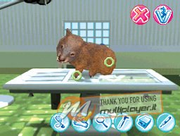 My Animal Centre In Australia