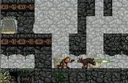 Tomb Raider Anniversary
