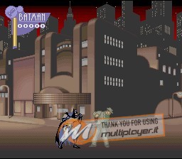 The Adventures of Batman & Robin