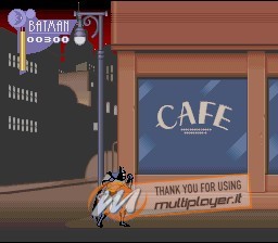 The Adventures of Batman & Robin