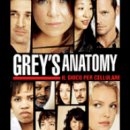 Anatomia grigia