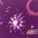 Una data americana per flOw PSP