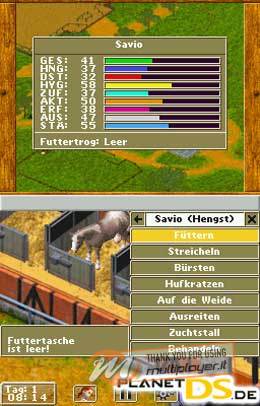 Il Mio Allevamento di Cavalli