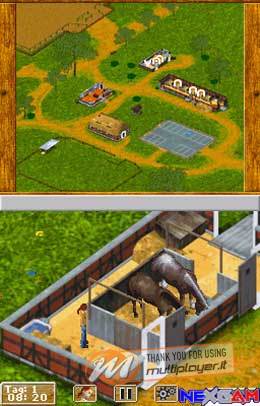 Il Mio Allevamento di Cavalli