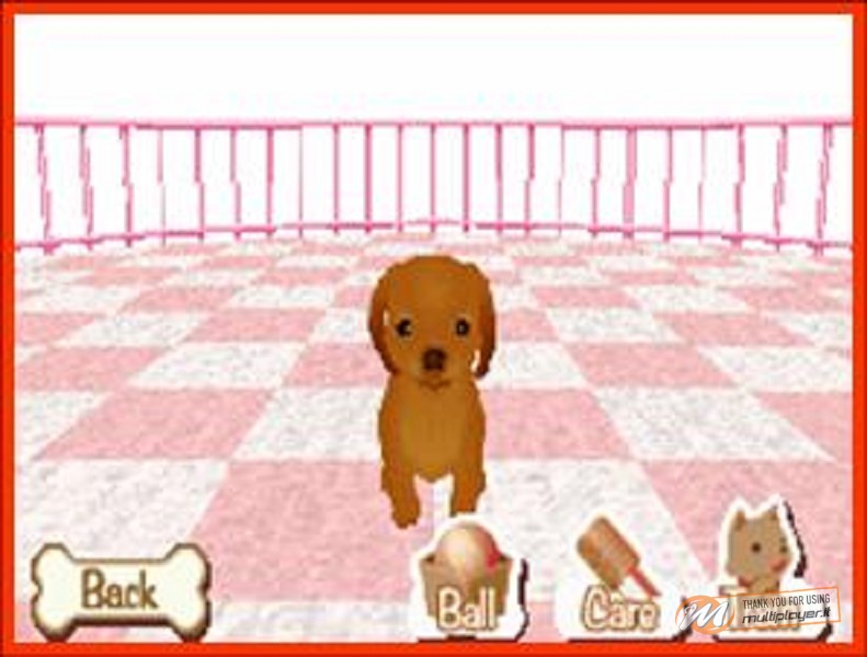 Il Mio Negozio Di Cagnolini