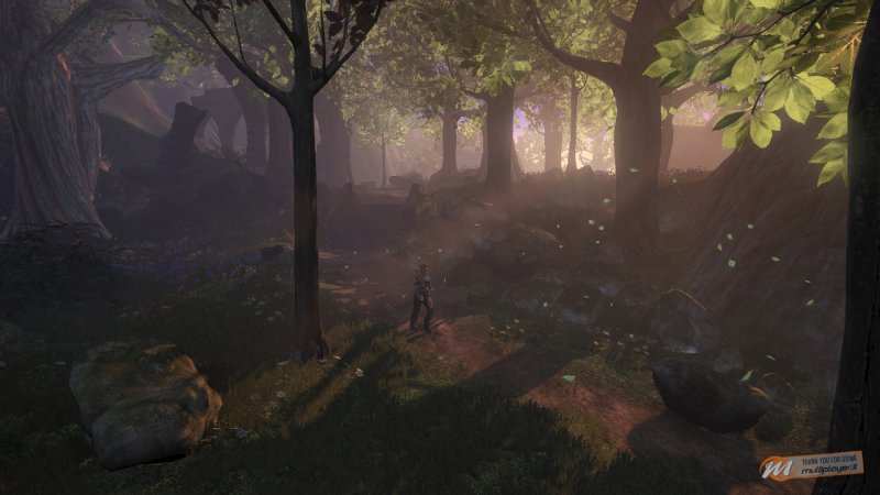 Fable 2 - Anteprima Fable 2 - Anteprima