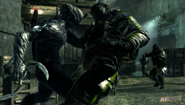 Dark Sector