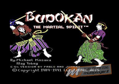 Budokan: The Martial Spirit