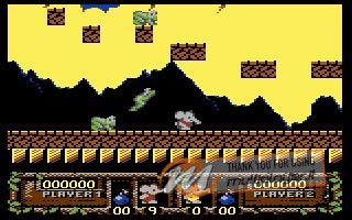 CJ's Elephant Antics