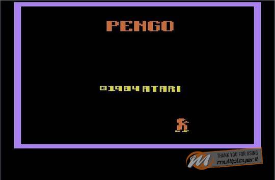 Pengo
