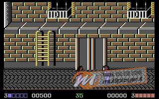 Double Dragon (1987)