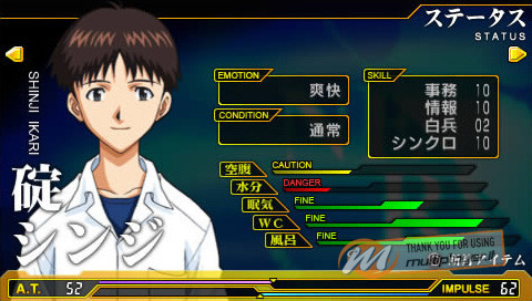 Neon Genesis Evangelion 2: Another Cases