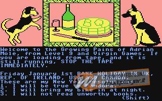 The Growing Pains of Adrian Mole