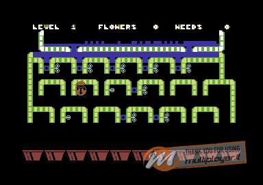 Humpty Dumpty in the Garden