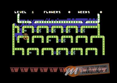 Humpty Dumpty in the Garden