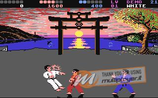 International Karate +