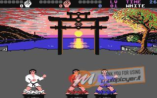 International Karate +