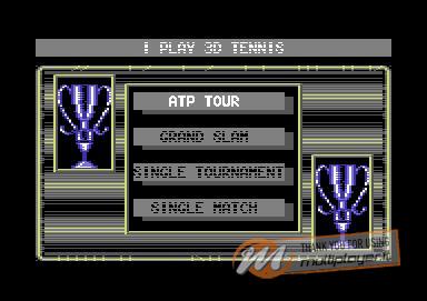 I Play 3D Tennis