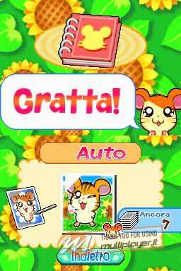 Hamtaro