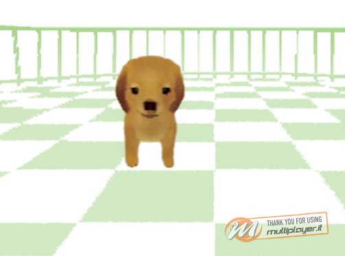 Il Mio Negozio Di Cagnolini