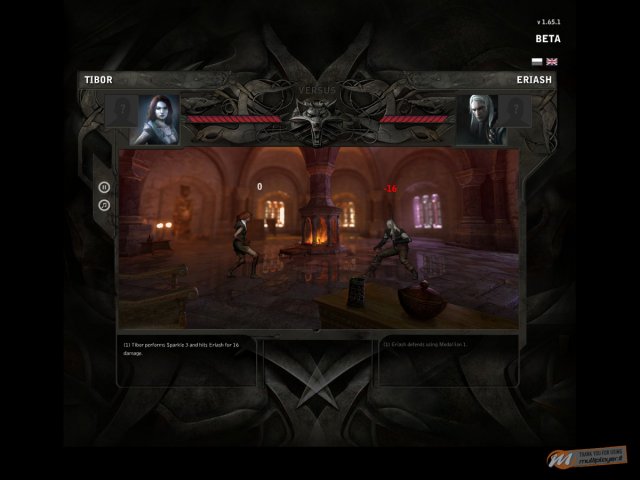 The Witcher: Versus