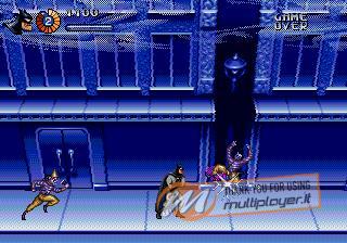 The Adventures of Batman & Robin