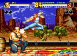 Fatal Fury 2