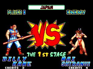 Fatal Fury Special