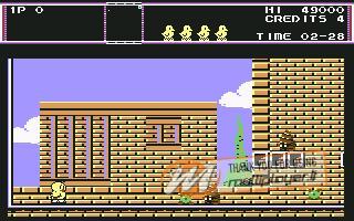 The New Zealand Story