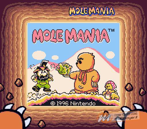 Mole Mania