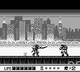 Ninja Gaiden: Shadow