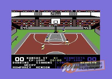 Omni-Play Basketball