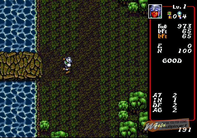 Dungeon Explorer